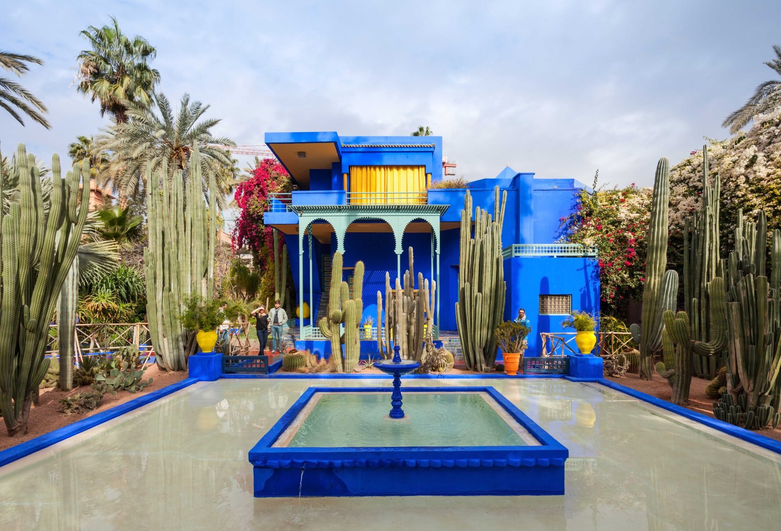 Exploring Marrakech’s Alluring Gardens: A Botanical Journey Through the Red City